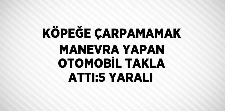 KÖPEĞE ÇARPAMAMAK MANEVRA YAPAN OTOMOBİL TAKLA ATTI:5 YARALI