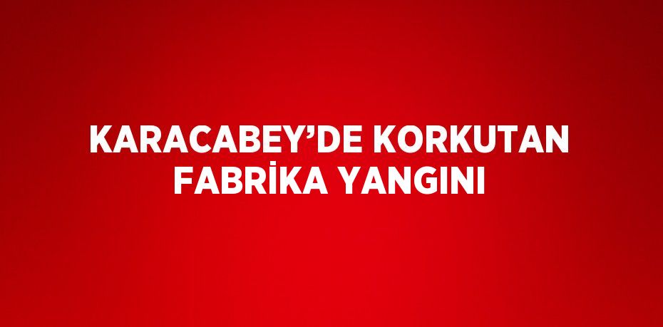 KARACABEY’DE KORKUTAN FABRİKA YANGINI