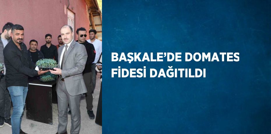 BAŞKALE’DE DOMATES FİDESİ DAĞITILDI