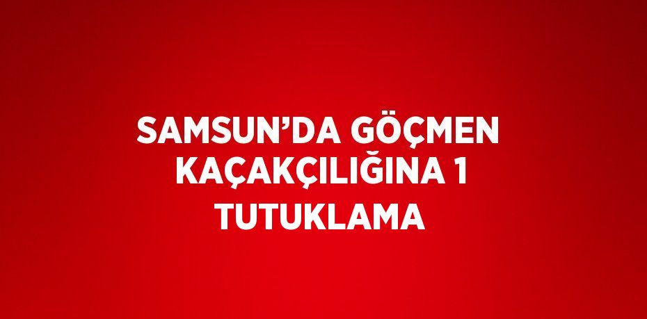 SAMSUN’DA GÖÇMEN KAÇAKÇILIĞINA 1 TUTUKLAMA