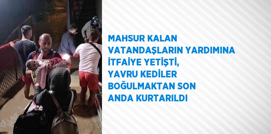 MAHSUR KALAN VATANDAŞLARIN YARDIMINA İTFAİYE YETİŞTİ, YAVRU KEDİLER BOĞULMAKTAN SON ANDA KURTARILDI