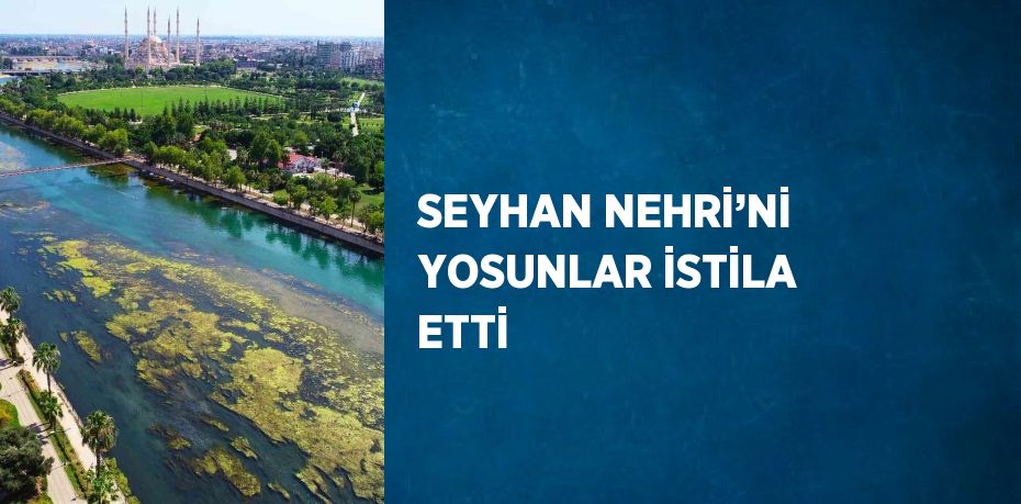 SEYHAN NEHRİ’Nİ YOSUNLAR İSTİLA ETTİ