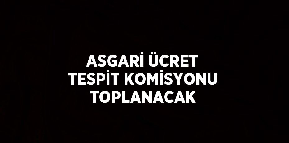 ASGARİ ÜCRET TESPİT KOMİSYONU TOPLANACAK