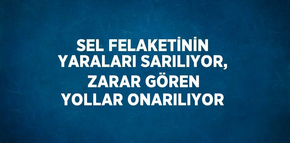 SEL FELAKETİNİN YARALARI SARILIYOR, ZARAR GÖREN YOLLAR ONARILIYOR