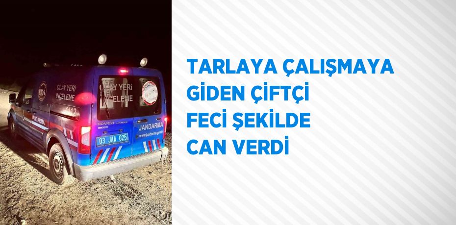 TARLAYA ÇALIŞMAYA GİDEN ÇİFTÇİ FECİ ŞEKİLDE CAN VERDİ