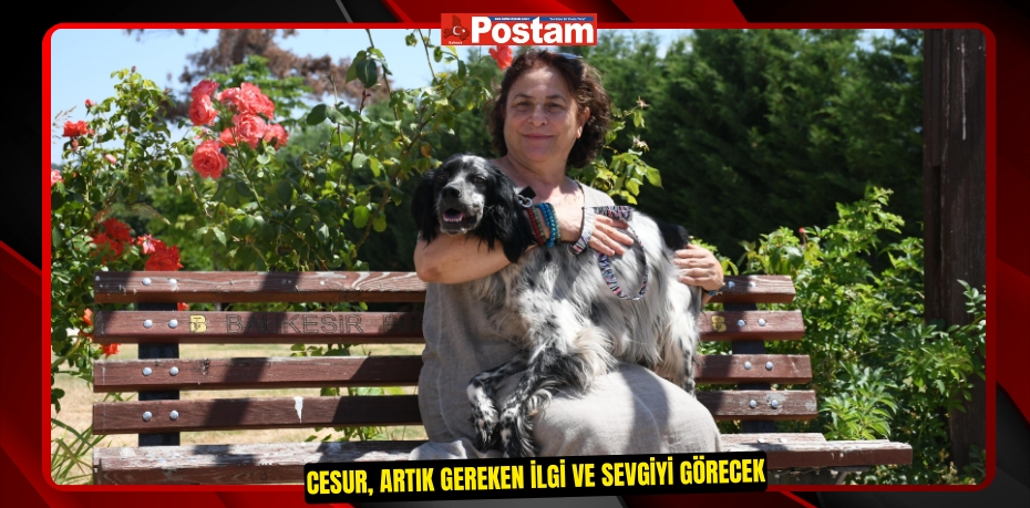 Cesur, artık gereken ilgi ve sevgiyi görecek