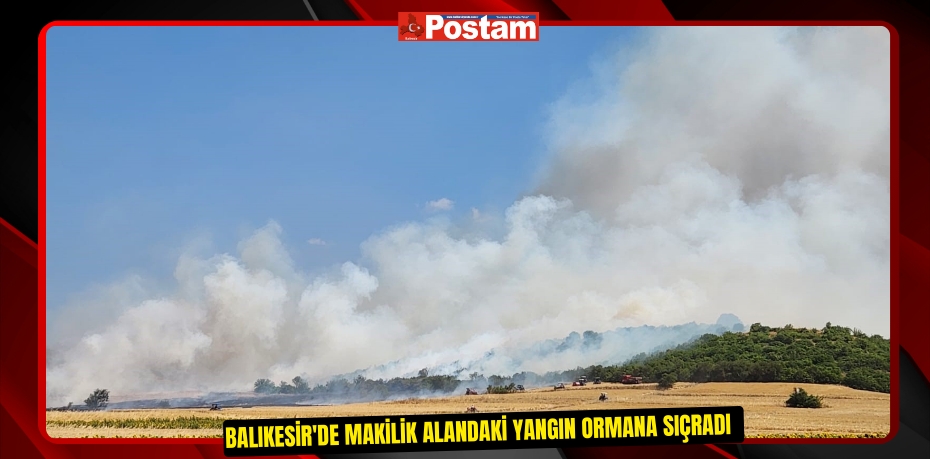 Balıkesir'de makilik alandaki yangın ormana sıçradı  