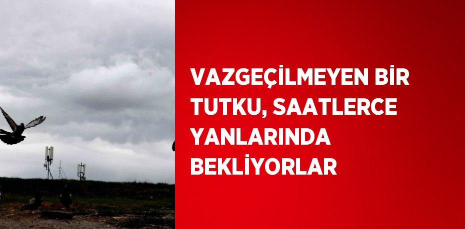 VAZGEÇİLMEYEN BİR TUTKU, SAATLERCE YANLARINDA BEKLİYORLAR