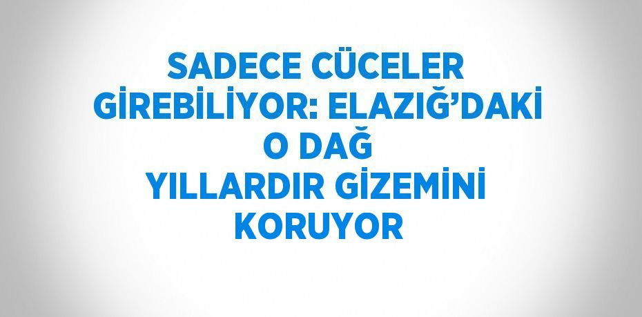 SADECE CÜCELER GİREBİLİYOR: ELAZIĞ’DAKİ O DAĞ YILLARDIR GİZEMİNİ KORUYOR