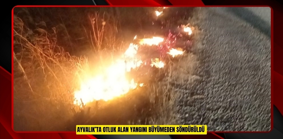 Ayvalık’ta otluk alan yangını büyümeden söndürüldü