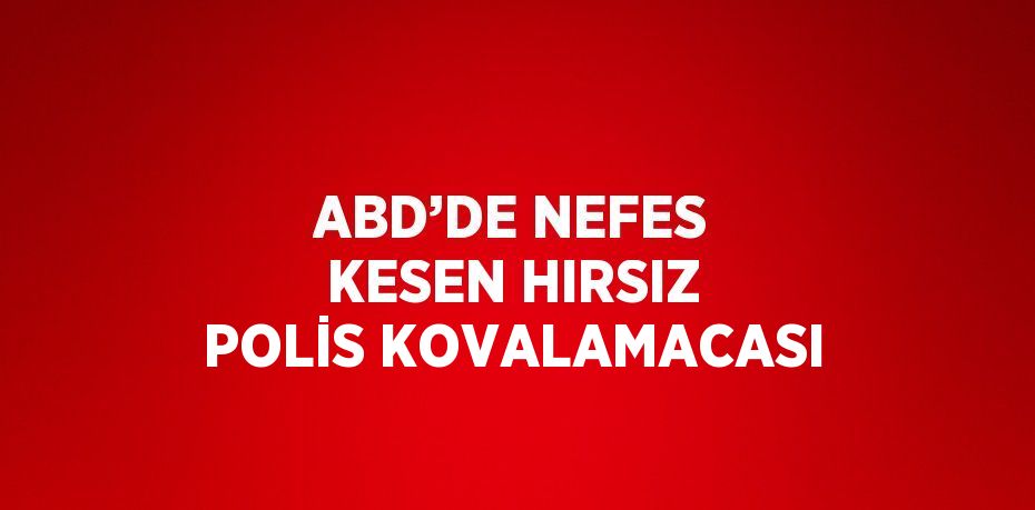 ABD’DE NEFES KESEN HIRSIZ POLİS KOVALAMACASI