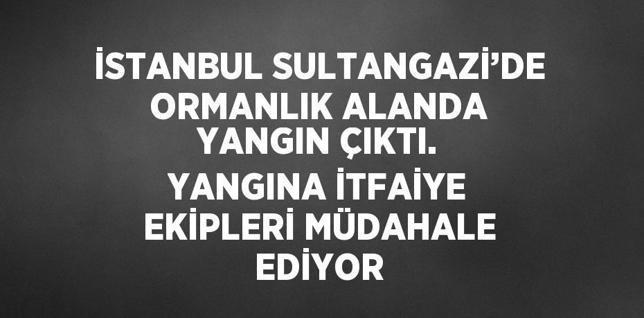 İSTANBUL SULTANGAZİ’DE ORMANLIK ALANDA YANGIN ÇIKTI. YANGINA İTFAİYE EKİPLERİ MÜDAHALE EDİYOR