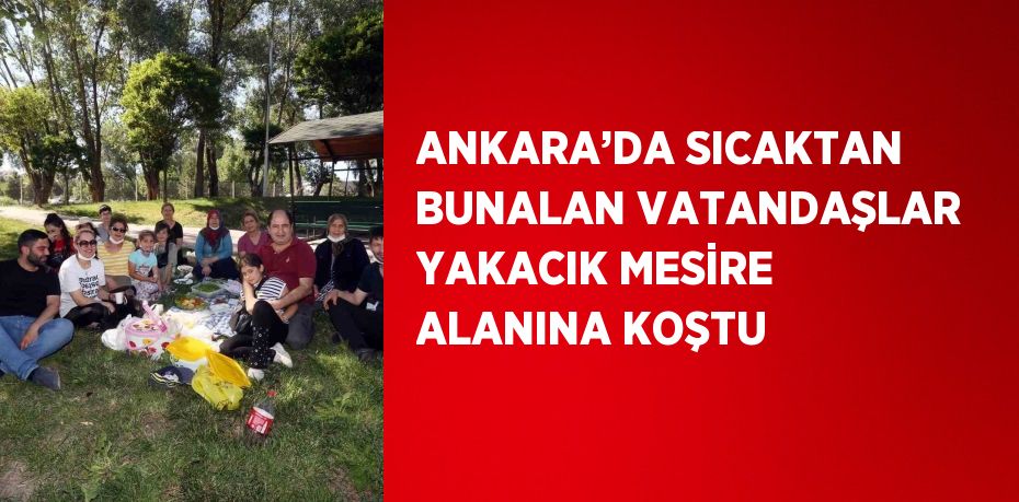 ANKARA’DA SICAKTAN BUNALAN VATANDAŞLAR YAKACIK MESİRE ALANINA KOŞTU