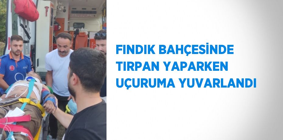 FINDIK BAHÇESİNDE TIRPAN YAPARKEN UÇURUMA YUVARLANDI