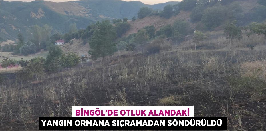 BİNGÖL’DE OTLUK ALANDAKİ YANGIN ORMANA SIÇRAMADAN SÖNDÜRÜLDÜ