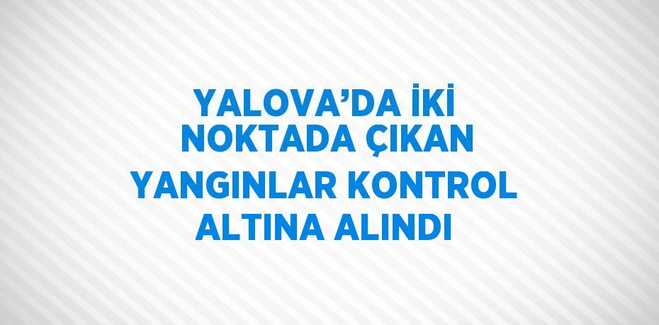 YALOVA’DA İKİ NOKTADA ÇIKAN YANGINLAR KONTROL ALTINA ALINDI