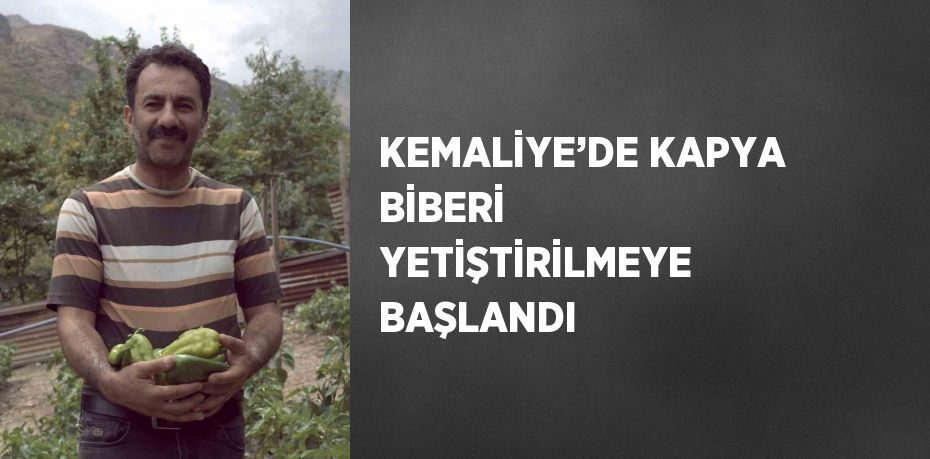 KEMALİYE’DE KAPYA BİBERİ YETİŞTİRİLMEYE BAŞLANDI