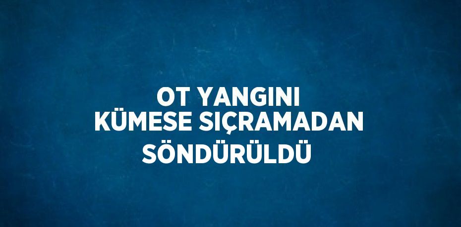 OT YANGINI KÜMESE SIÇRAMADAN SÖNDÜRÜLDÜ