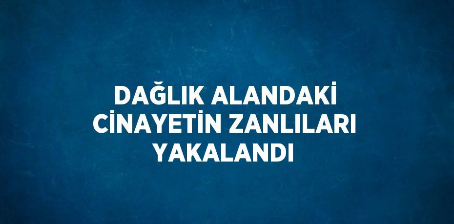 DAĞLIK ALANDAKİ CİNAYETİN ZANLILARI YAKALANDI