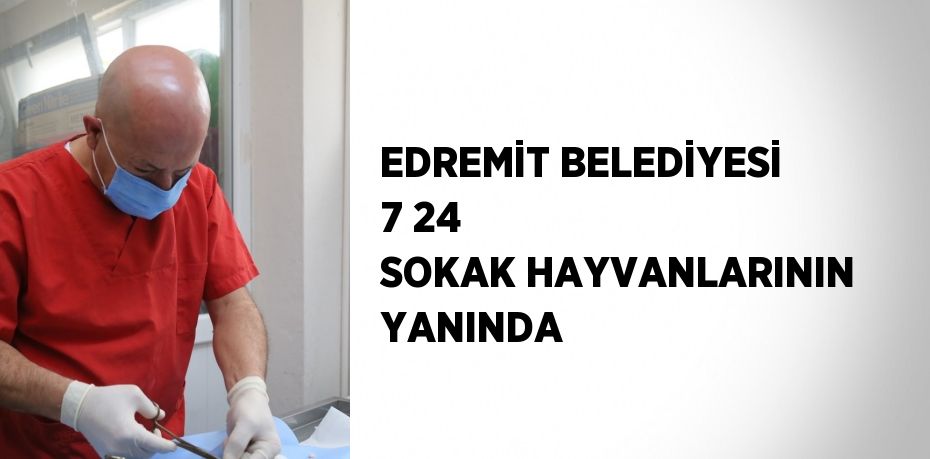 EDREMİT BELEDİYESİ 7 24 SOKAK HAYVANLARININ YANINDA