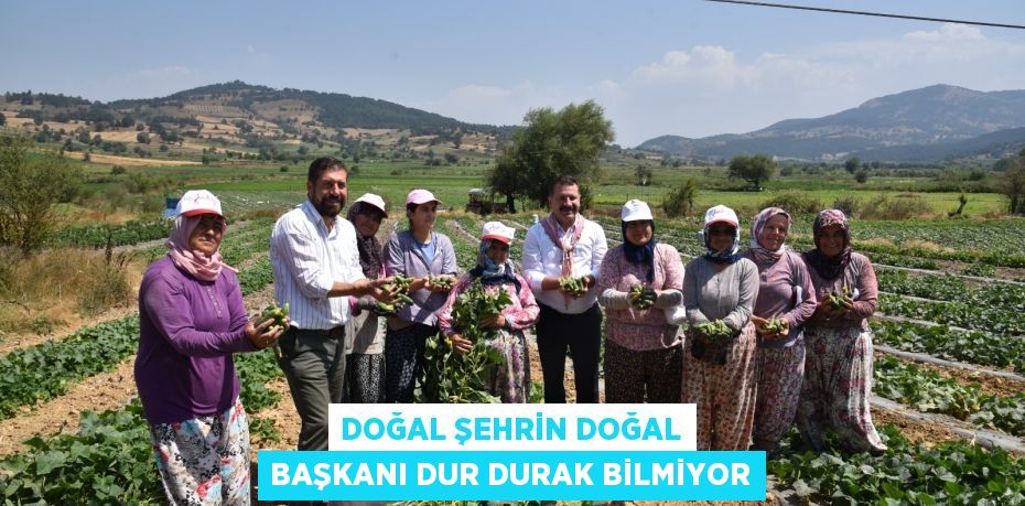 Doğal Şehrin Doğal Başkanı Dur Durak Bilmiyor