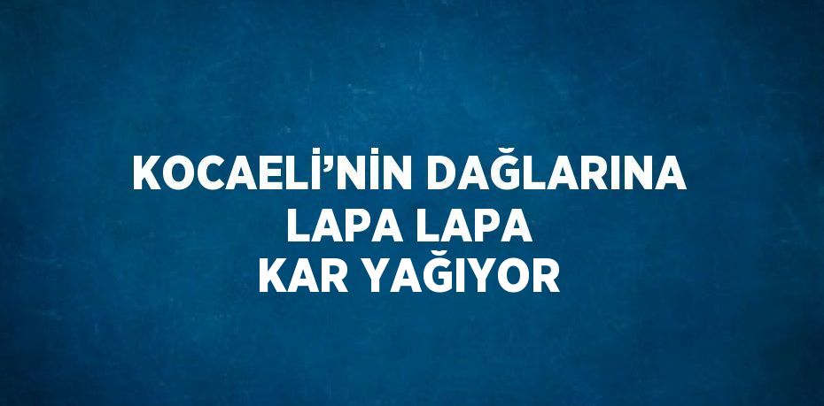 KOCAELİ’NİN DAĞLARINA LAPA LAPA KAR YAĞIYOR