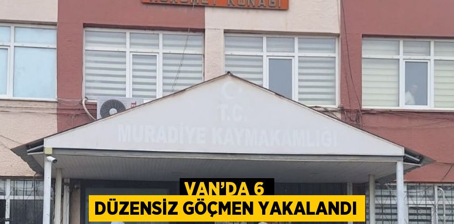 VAN’DA 6 DÜZENSİZ GÖÇMEN YAKALANDI