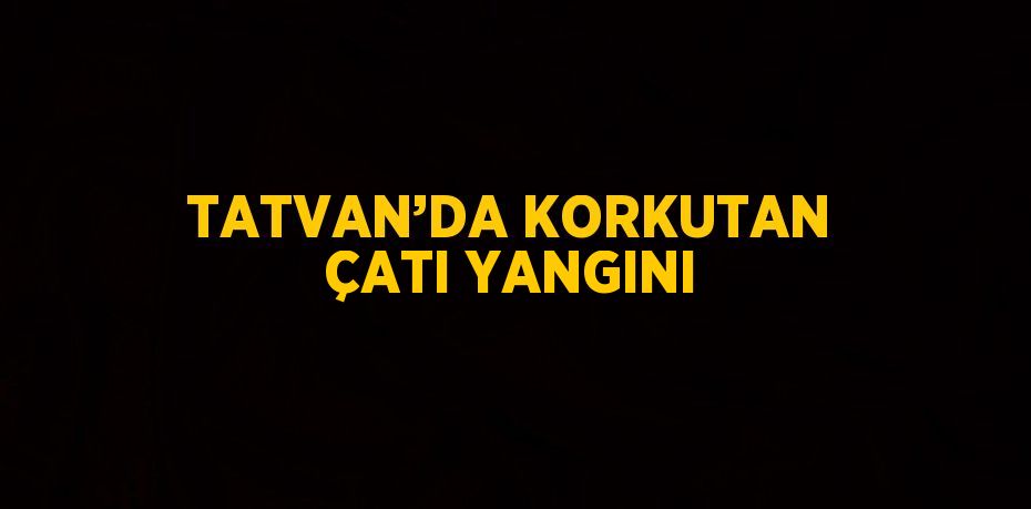 TATVAN’DA KORKUTAN ÇATI YANGINI