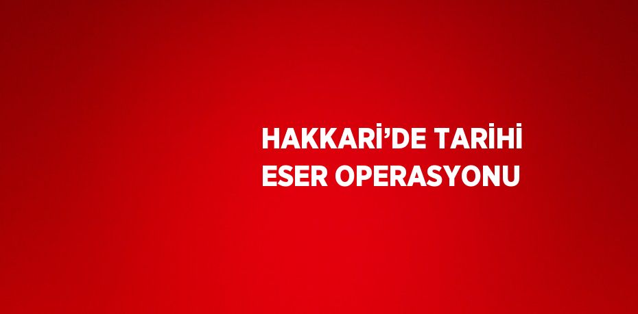 HAKKARİ’DE TARİHİ ESER OPERASYONU