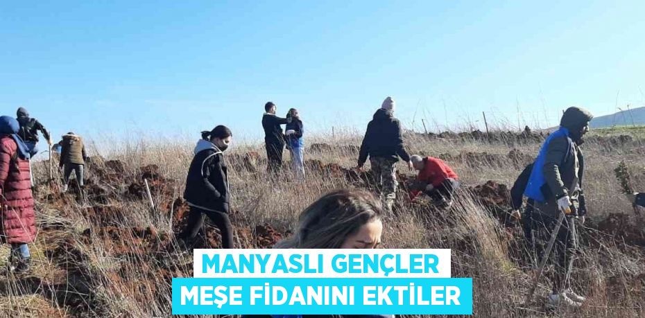 MANYASLI GENÇLER MEŞE FİDANINI EKTİLER