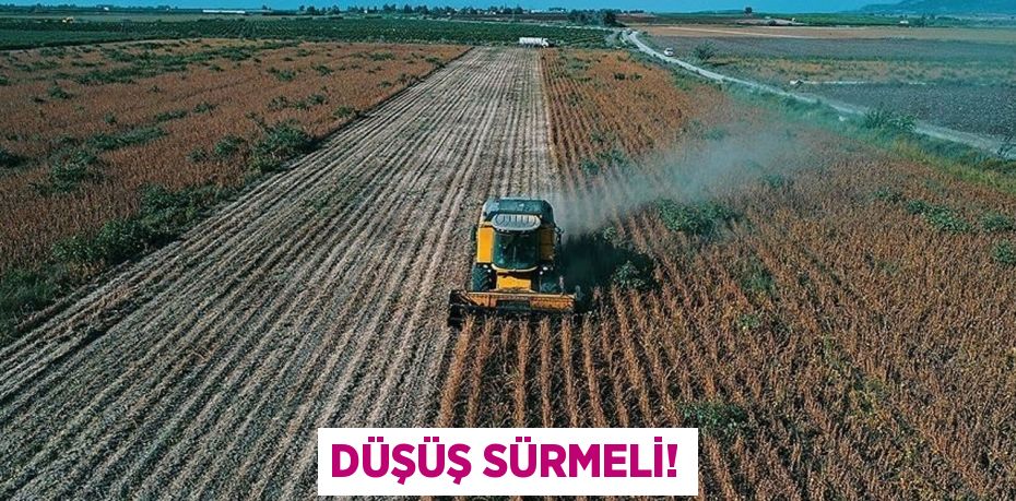 DÜŞÜŞ SÜRMELİ!