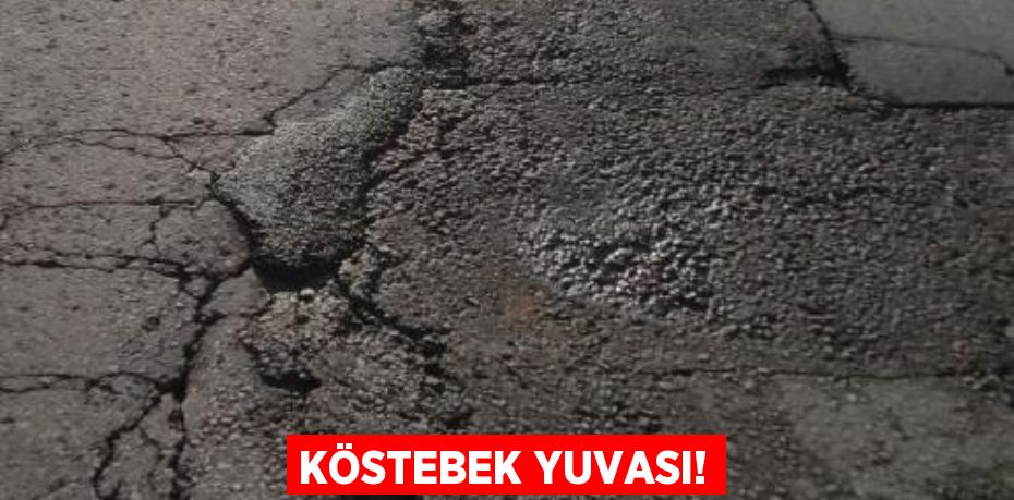 KÖSTEBEK YUVASI!