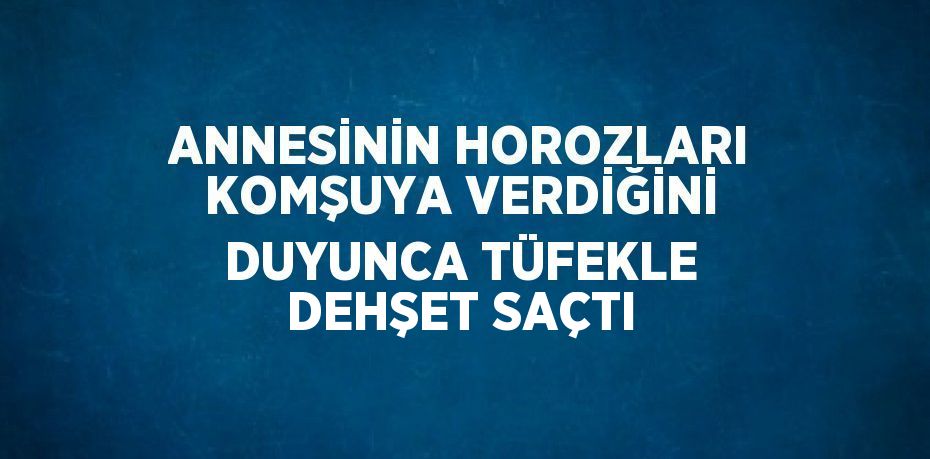 ANNESİNİN HOROZLARI KOMŞUYA VERDİĞİNİ DUYUNCA TÜFEKLE DEHŞET SAÇTI