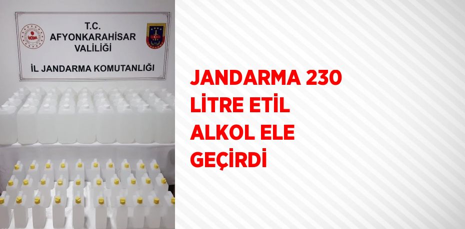 JANDARMA 230 LİTRE ETİL ALKOL ELE GEÇİRDİ