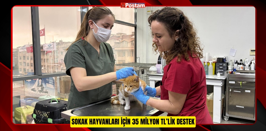 SOKAK HAYVANLARI İÇİN 35 MİLYON TL’LİK DESTEK