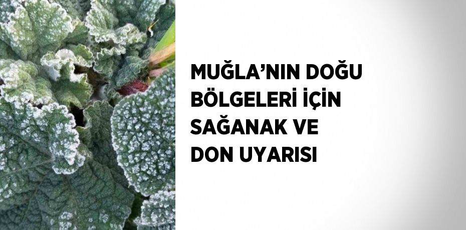 MUĞLA’NIN DOĞU BÖLGELERİ İÇİN SAĞANAK VE DON UYARISI