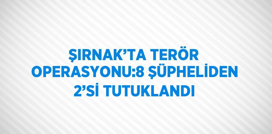 ŞIRNAK’TA TERÖR OPERASYONU:8 ŞÜPHELİDEN 2’Sİ TUTUKLANDI