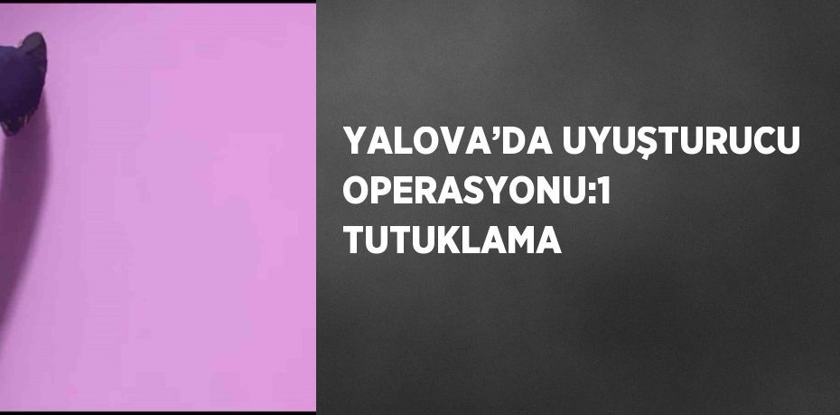 YALOVA’DA UYUŞTURUCU OPERASYONU:1 TUTUKLAMA