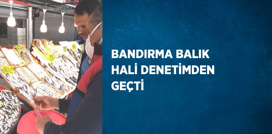 BANDIRMA BALIK HALİ DENETİMDEN GEÇTİ