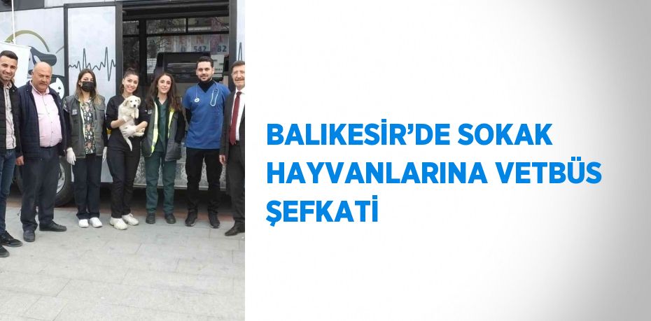 BALIKESİR’DE SOKAK HAYVANLARINA VETBÜS ŞEFKATİ