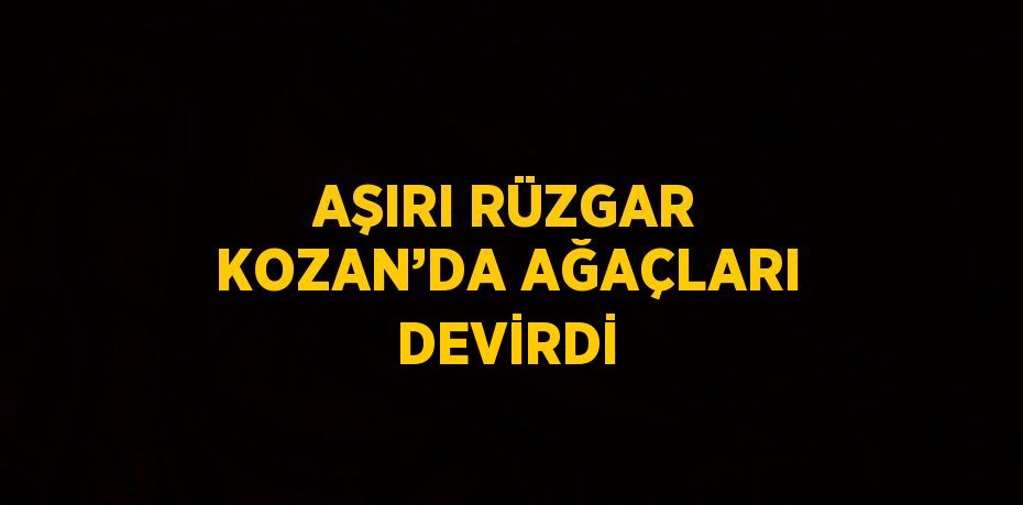 AŞIRI RÜZGAR KOZAN’DA AĞAÇLARI DEVİRDİ