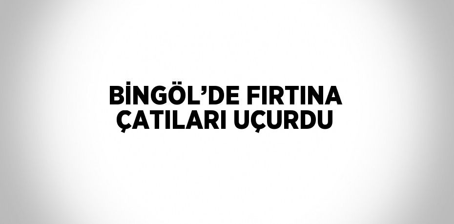 BİNGÖL’DE FIRTINA ÇATILARI UÇURDU