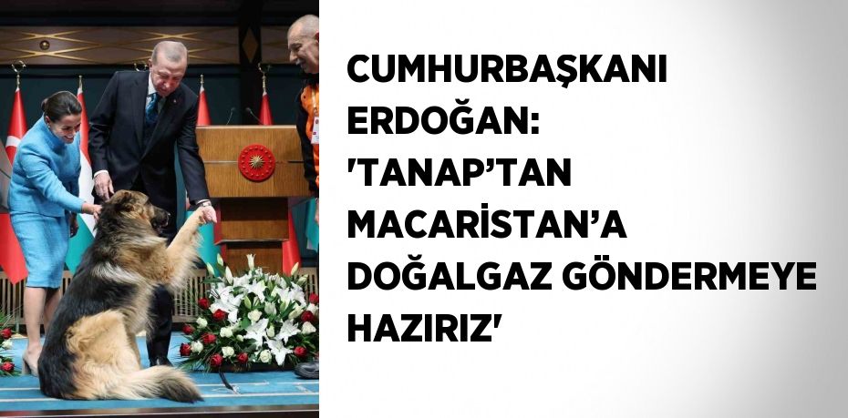 CUMHURBAŞKANI ERDOĞAN: 'TANAP’TAN MACARİSTAN’A DOĞALGAZ GÖNDERMEYE HAZIRIZ'