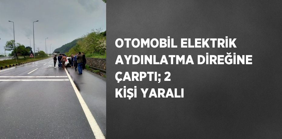 OTOMOBİL ELEKTRİK AYDINLATMA DİREĞİNE ÇARPTI; 2 KİŞİ YARALI