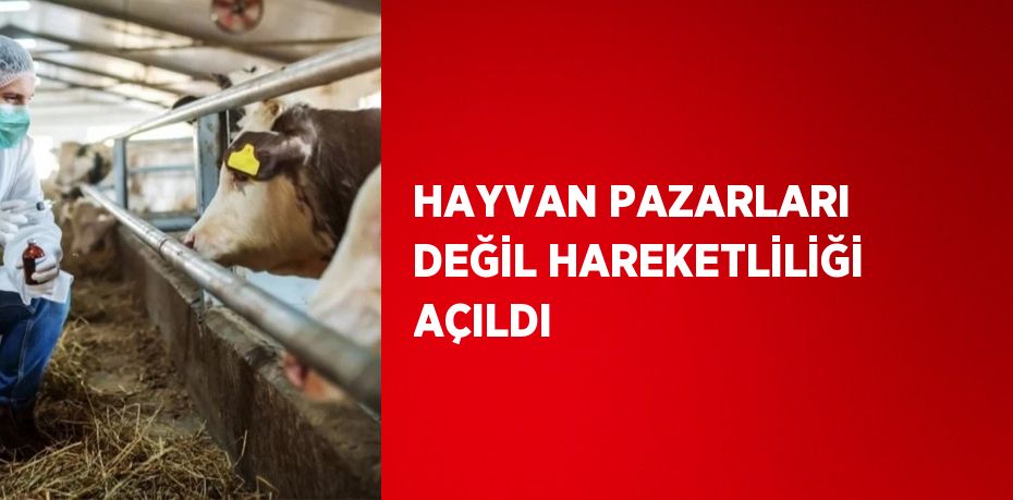 HAYVAN PAZARLARI DEĞİL HAREKETLİLİĞİ AÇILDI