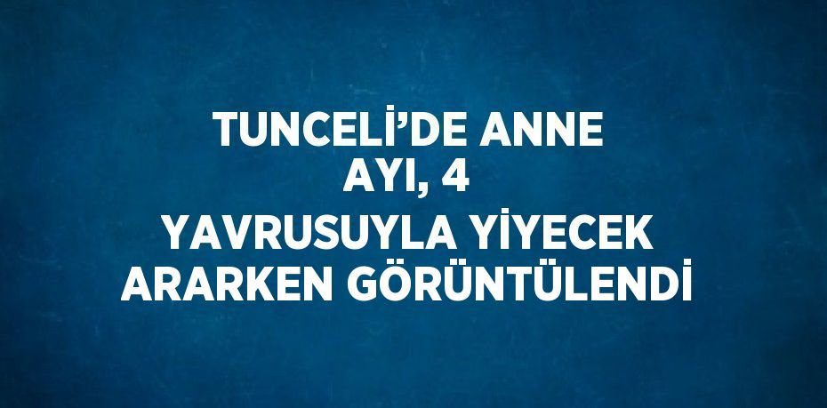 TUNCELİ’DE ANNE AYI, 4 YAVRUSUYLA YİYECEK ARARKEN GÖRÜNTÜLENDİ