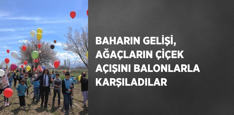 BAHARIN GELİŞİ, AĞAÇLARIN ÇİÇEK AÇIŞINI BALONLARLA KARŞILADILAR