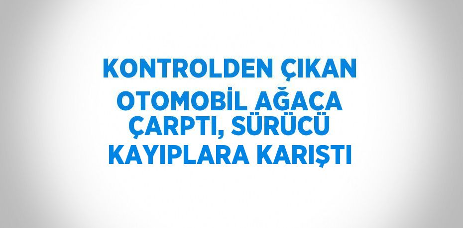 KONTROLDEN ÇIKAN OTOMOBİL AĞACA ÇARPTI, SÜRÜCÜ KAYIPLARA KARIŞTI