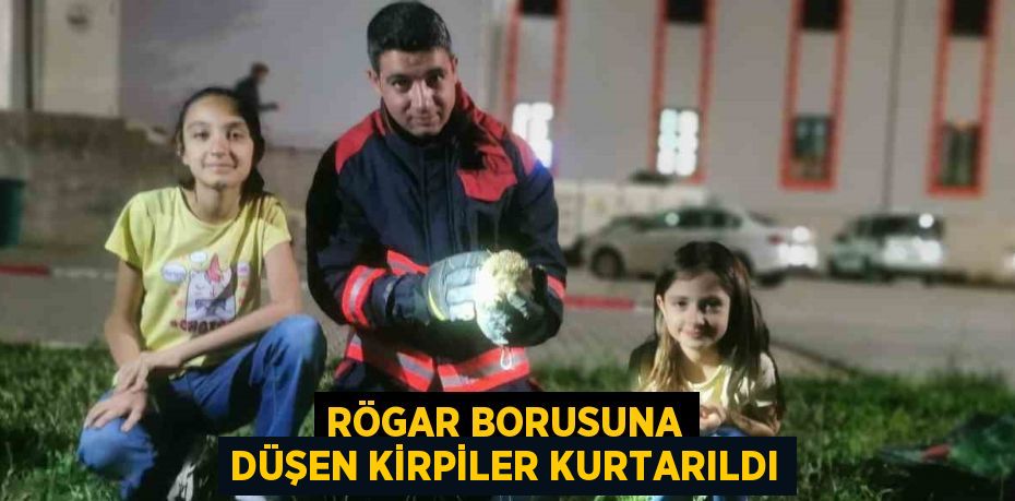 RÖGAR BORUSUNA DÜŞEN KİRPİLER KURTARILDI