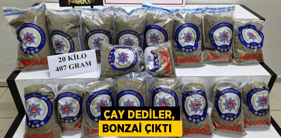 Çay dediler, bonzai çıktı  